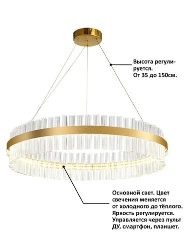 Люстра подвесная LED с пультом INNOVATION STYLE 83011 Natali Kovaltseva прозрачная на 1 лампа, основание золотое в стиле хай-тек с пультом фото 2